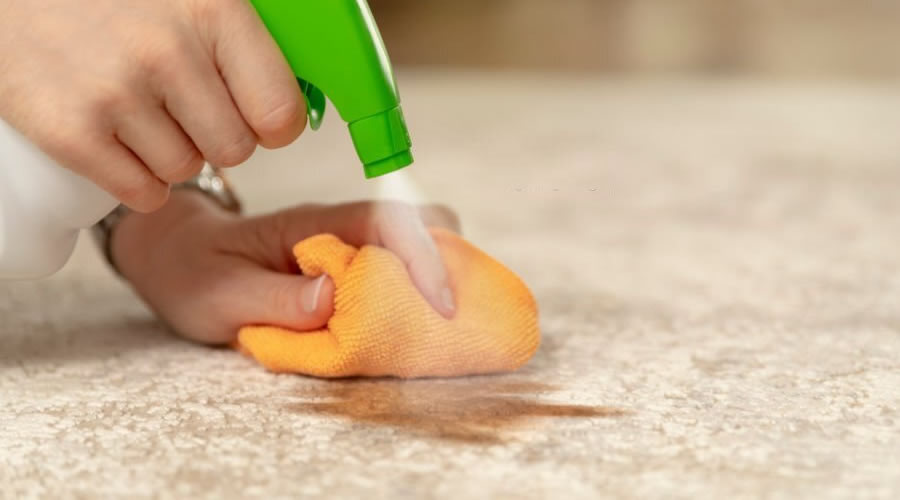 Quick Guide to DIY Carpet Cleaning in 10 steps